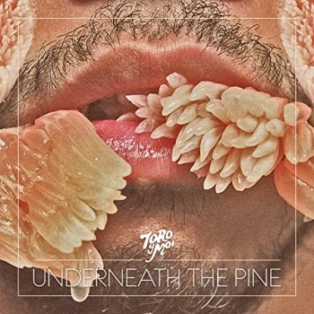 Image of Toro Y Moi - Underneath The Pine Vinyl