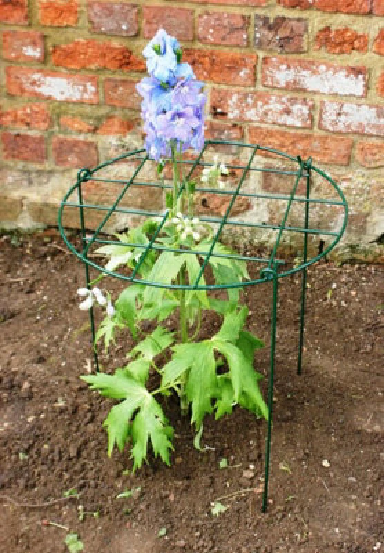 Image of Poppy Forge 16" Grow Through Ring Bare Metal/ready To Rust (Pack Of 4) Legs Sold Separately - Steel - L40.6 X W40.6 Cm