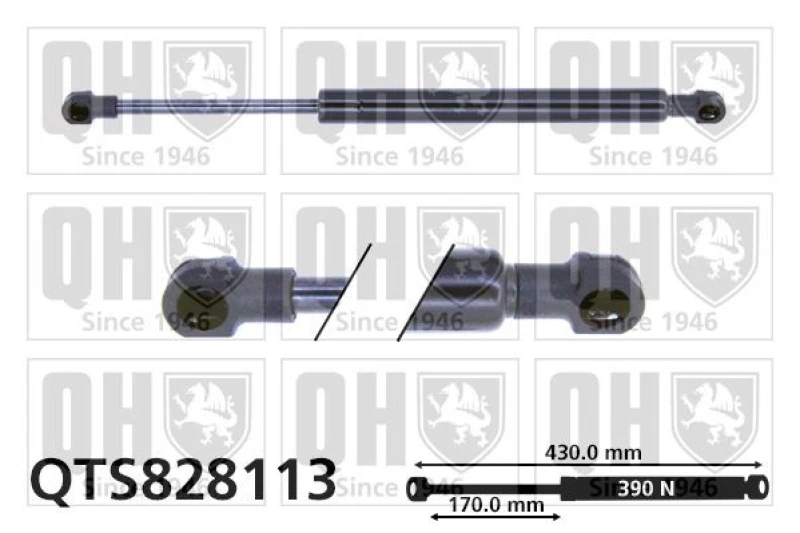 Image of QUINTON HAZELL Tailgate strut QUINTON HAZELL QTS828113