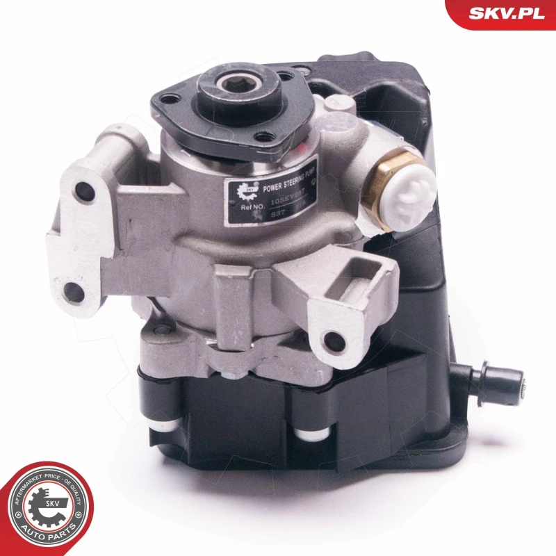 Image of ESEN SKV Power steering pump ESEN SKV 10SKV237