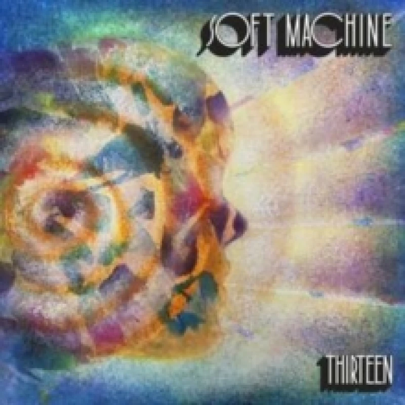 Image of Thriteen Vinyl