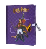 Image of harry potter quidditch lock and key diary