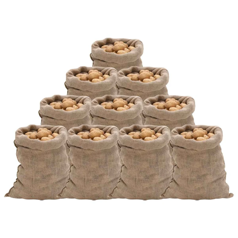 Image of Vidaxl Jute Sacks 10 Pcs 60X105cm 100% Jute 220 Gsm, Brown 155778
