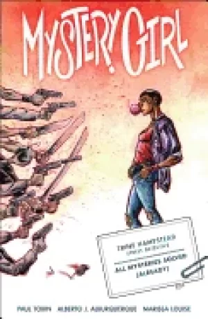 Image of mystery girl volume 1