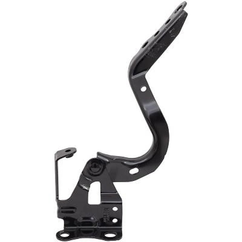 Image of Hinge, bonnet DIEDERICHS 6637018