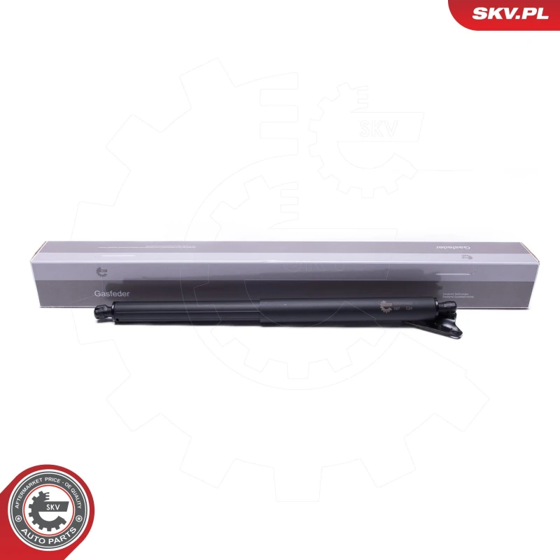 Image of ESEN SKV Electrical motor, tailgate ESEN SKV 52SKV963