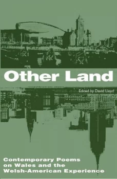 Image of Other Land by David Lloyd Book