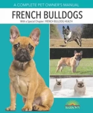 Image of french bulldogs