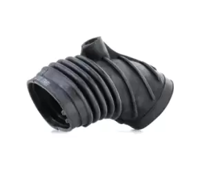 image of RIDEX Intake Pipe, air filter BMW 1591I0029 13711734258