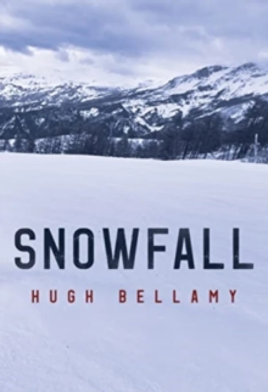 Image of Snowfall Paperback / softback