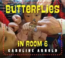 Image of butterflies in room 6 see how they grow