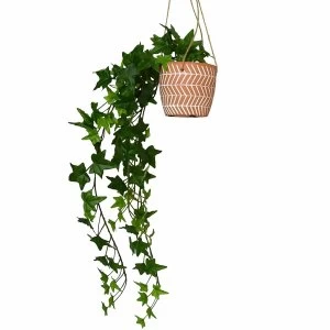 Image of Faux Trailing Ivy in Hanging Ceramic Pot in Gift Box