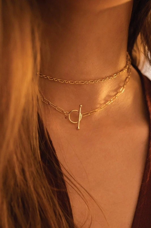 Image of Elk & Bloom 14K Gold Link Chain Minimalist Choker Gold unisex