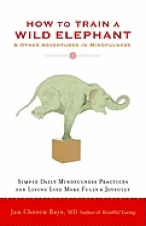 Image of how to train a wild elephant and other adventures in mindfulness