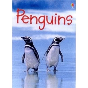 Image of Penguins by Emily Bone and Jenny Cooper and Tim Haggerty Hardback