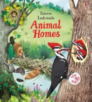 Image of Animal homes by Emily Bone