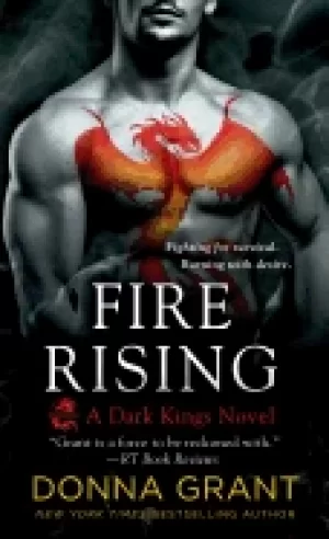 Image of fire rising a dark kings novel