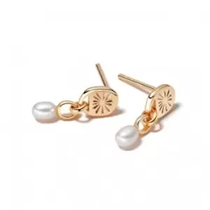 Image of Treasures Sunburst Seed Pearl Stud 18ct Gold Plated Earrings TE01_GP