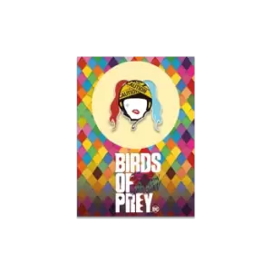 image of Harley Quinn Birds of Prey Collectable Pin Badge - Harley Quinn