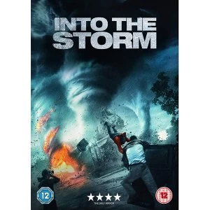 Image of Into the Storm DVD