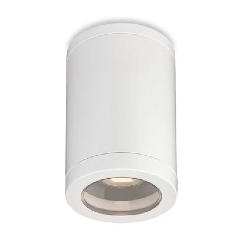 Image of Luminosa Lighting Luminosa Firstlight Max Resin Flush Ceiling Fitting White 1Xgu10 Ip65