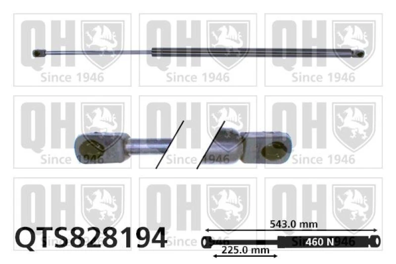 Image of QUINTON HAZELL Tailgate strut QUINTON HAZELL QTS828194