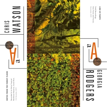 Image of Various Artists - Notes from the Forest Floor / Line of Parts Vinyl