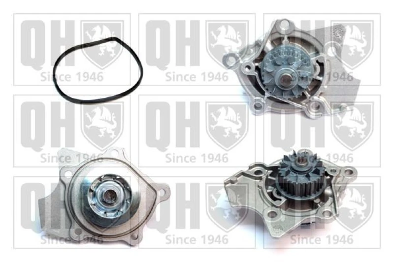 Image of QUINTON HAZELL Water pump QUINTON HAZELL QCP3856