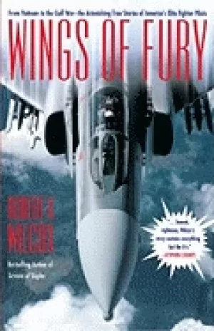 Image of wings of fury from vietnam to the gulf war the astonishing true stories of