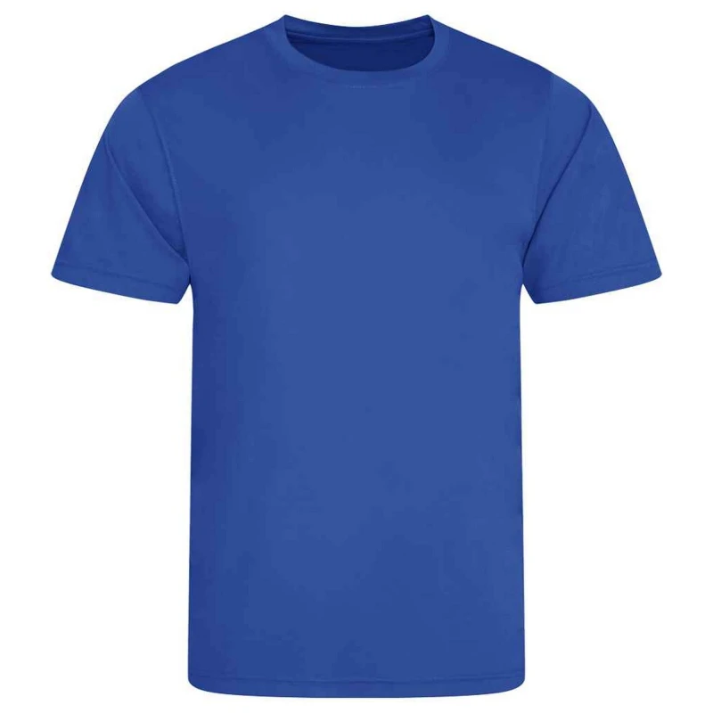 Image of AWDis Cool Mens Smooth T-Shirt in Royal Size: Large Royal Male L