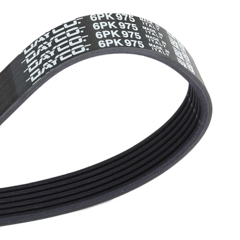 Image of DAYCO 6PK975 V-ribbed belt V-Ribbed Belts (305)