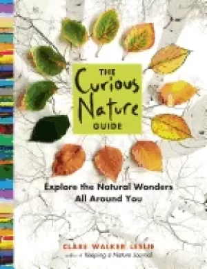 Image of curious nature guide explore the natural wonders all around you