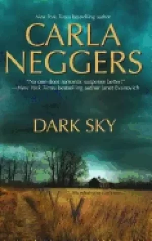 Image of dark sky