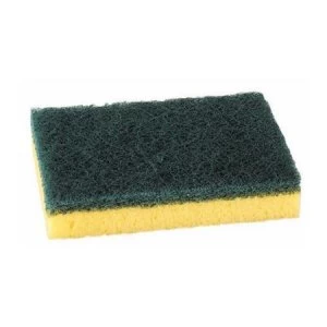Image of Sponge Scourer Recycled Non-Scratch Heavy Duty Blue [Pack 10]
