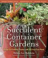 Image of succulent container gardens design eye catching displays with 350 easy care