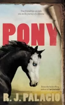 Image of Pony : from the bestselling author of Wonder