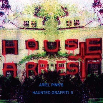 Image of Ariel Pink - House Arrest Vinyl