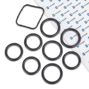 Image of DR.MOTOR AUTOMOTIVE Gasket Set, intake manifold DRM027S FORD,FIAT,PEUGEOT,Fiesta Mk6 Schragheck (JA8, JR8),Fiesta Mk5 Schragheck (JH1, JD1, JH3, JD3)
