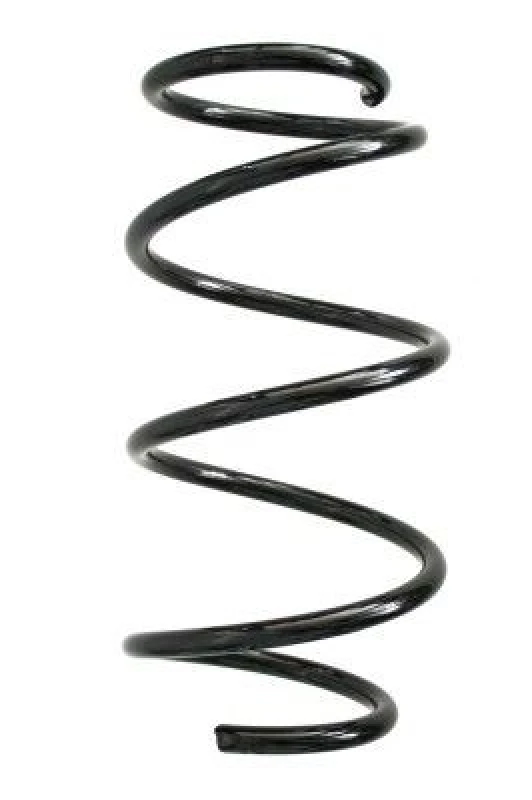 Image of Coil spring SPIDAN 86817