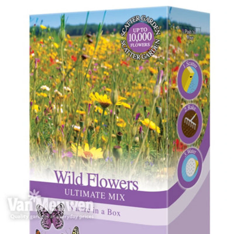 Image of Thompson & Morgan Wildflower Seeds For The Garden - Grow Your Own Wild Flower Seed Mix Poppies, Meadow Flowers & Grasses Bee Friendly Blooms