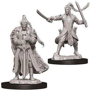Image of Dungeons & Dragons Nolzur's Marvelous Unpainted Miniatures - Male Elf Paladin