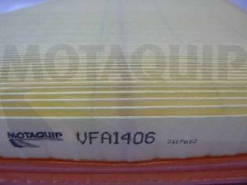 Image of MOTAQUIP Air filter MOTAQUIP LVFA1406