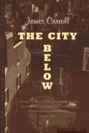 Image of city below