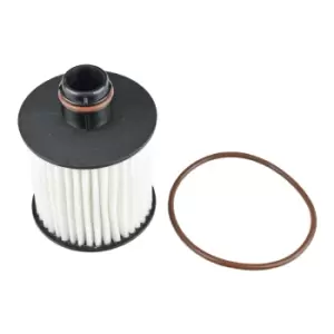Image of Oil Filter ADL142111 by Blue Print