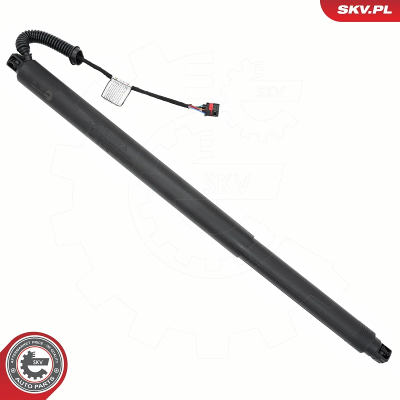 Image of ESEN SKV Electrical motor, tailgate ESEN SKV 52SKV991