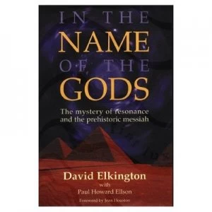 Image of In the Name of the Gods by David Elkington and Paul Howard Ellson Hardback
