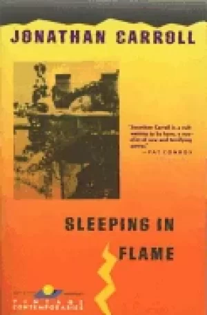 Image of sleeping in flame
