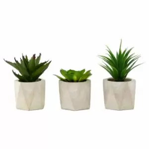 image of Interiors By Ph Set Of 3 Faux Succulents Geo Cement Pots