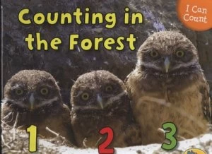 Image of Counting in the Forest by Rebecca Rissman Hardback