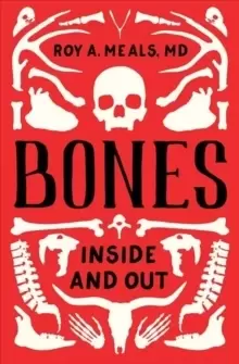 Image of Bones : Inside and Out